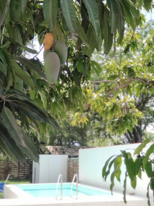 Río Verde Casa Mango Amplia Con Alberca Y Cerca De La Media Luna !!! מראה חיצוני תמונה