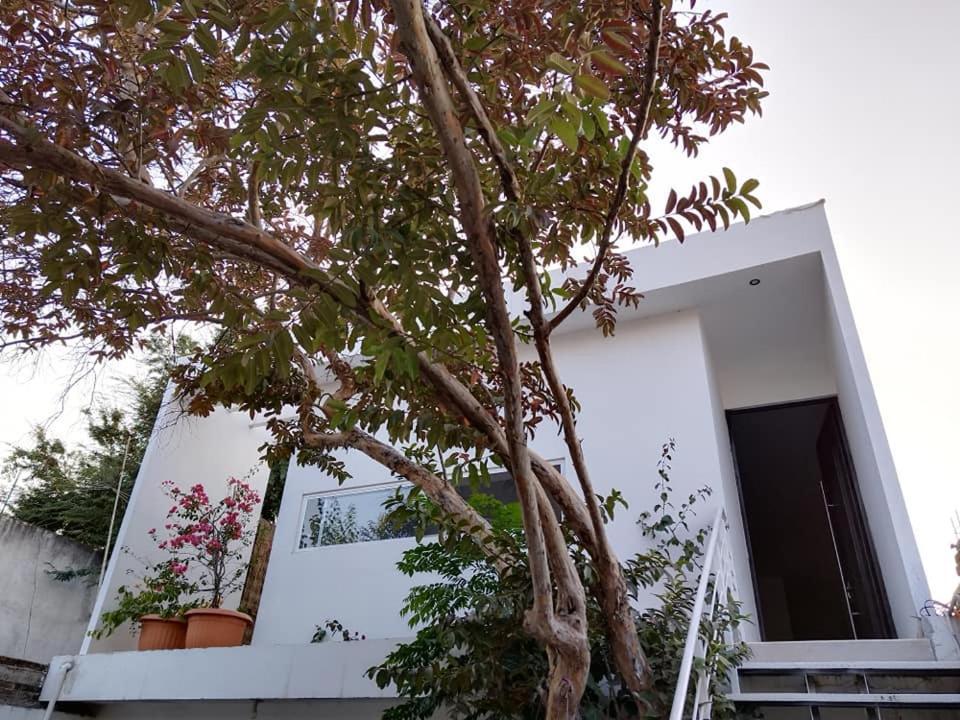 Río Verde Casa Mango Amplia Con Alberca Y Cerca De La Media Luna !!! מראה חיצוני תמונה